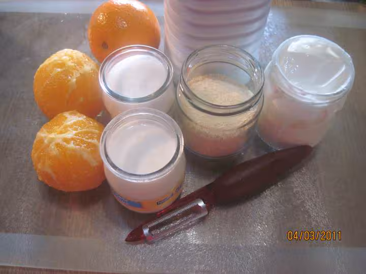 Yaourts aux agrumes d oranges