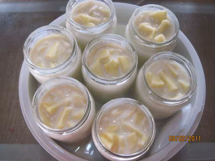 Yaourts aux des de pommes