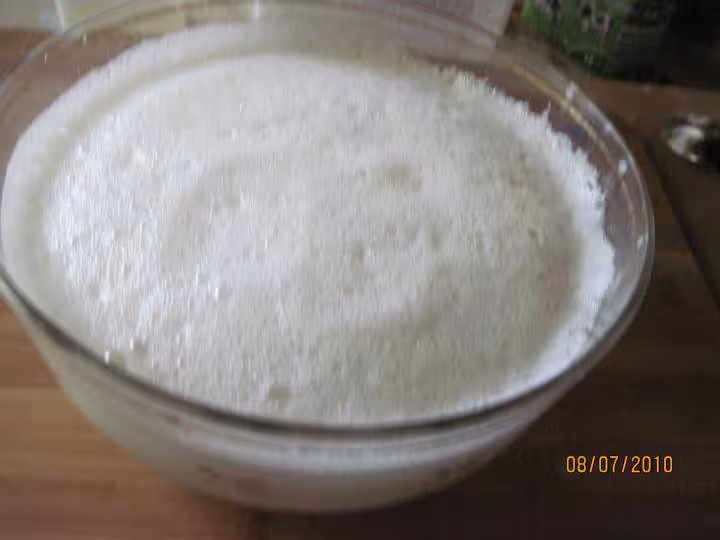 Yaourts aux kiwis verts