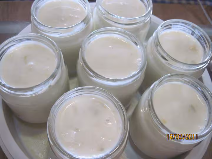 Yaourts aux zestes de citrons
