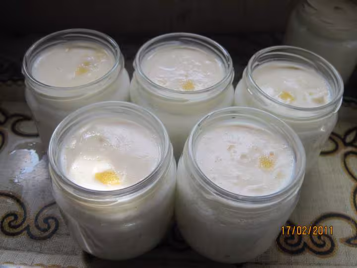 Yaourts aux zestes de citrons