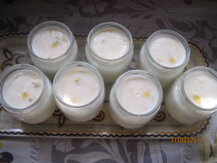 Yaourts aux zestes de citrons