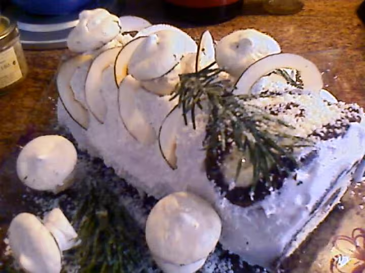 Birch de noel 2009