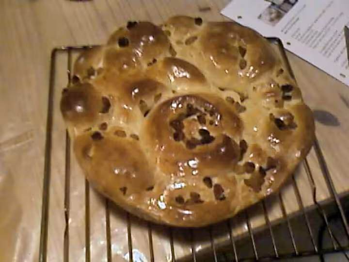 Burchty raisin sec1