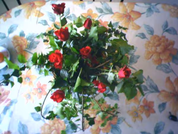 Composition florale