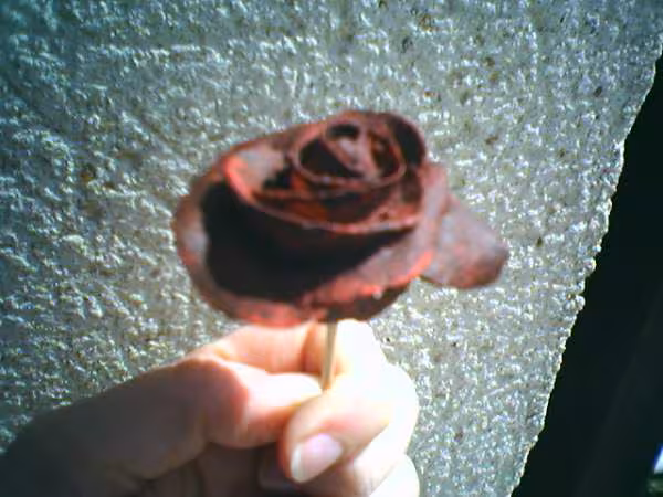 Rose en pate a sel
