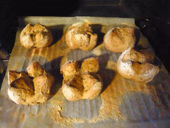 Petits pains antiques de caton fromage de brebis cumin anis vert