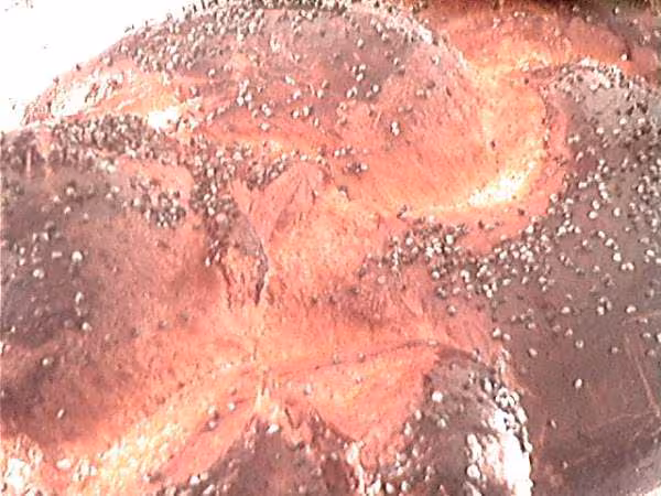 Brioche tressee03