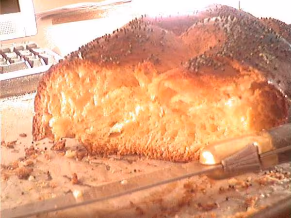 Coupe brioche