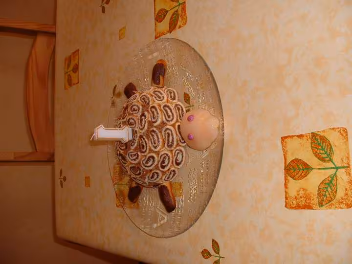 Gateau tortue