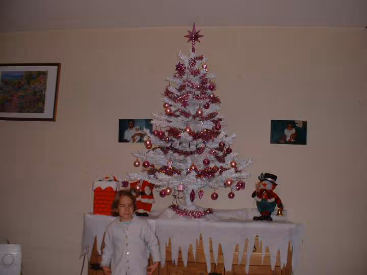 Sapin 2007