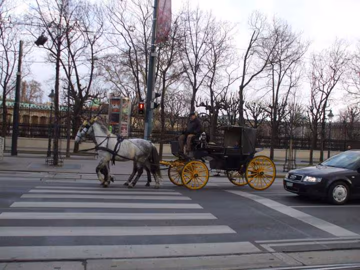 Vienne