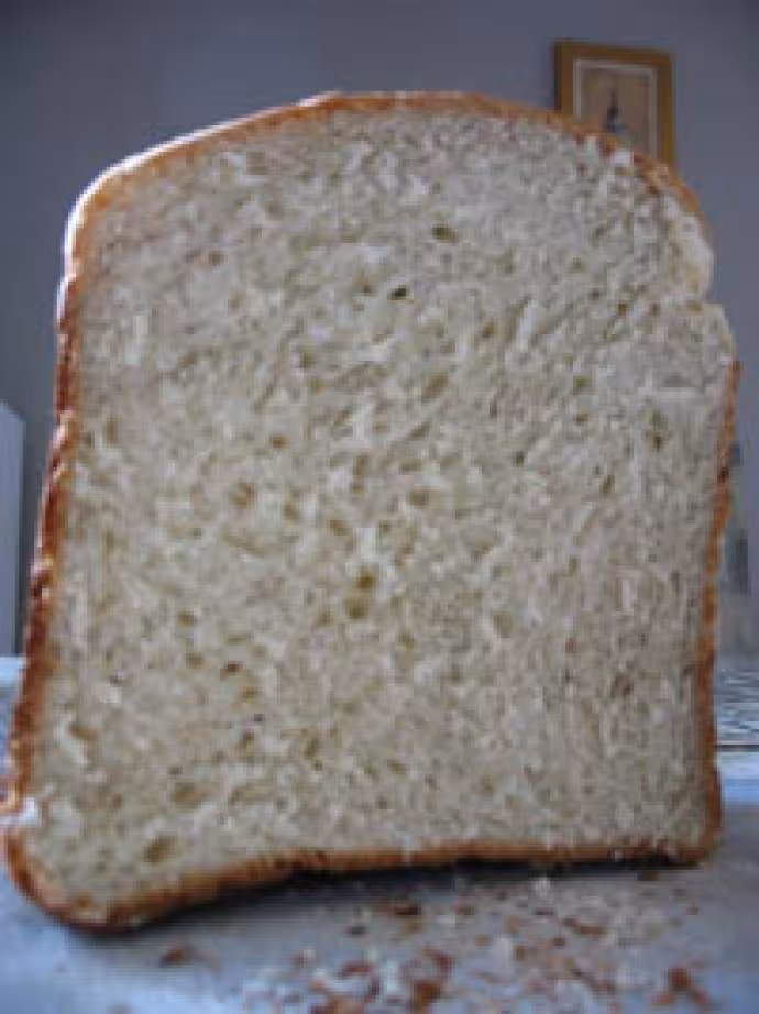 Brioche legere sante 1b