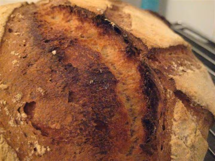 Pain 100 levain grigne
