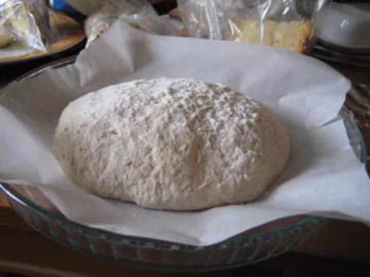 Paton