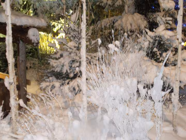 Neige4