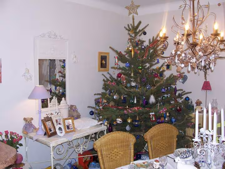 Noel 2008 1