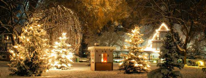 Noel 2011
