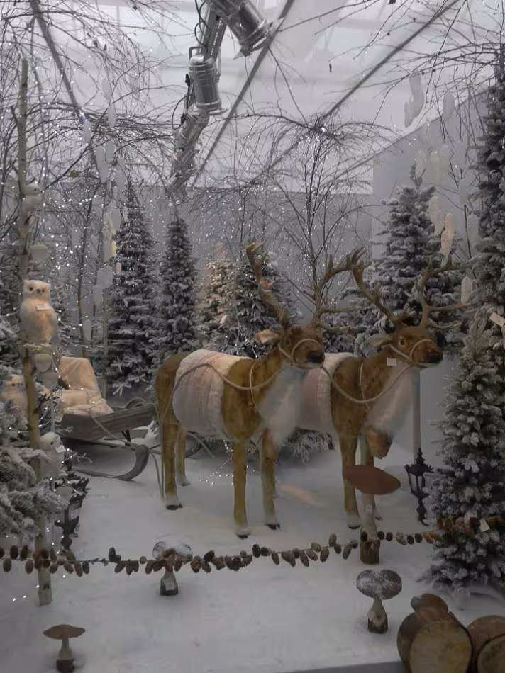 Noel 2012 11