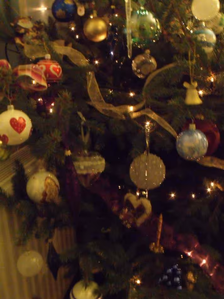 Noel 2012 9