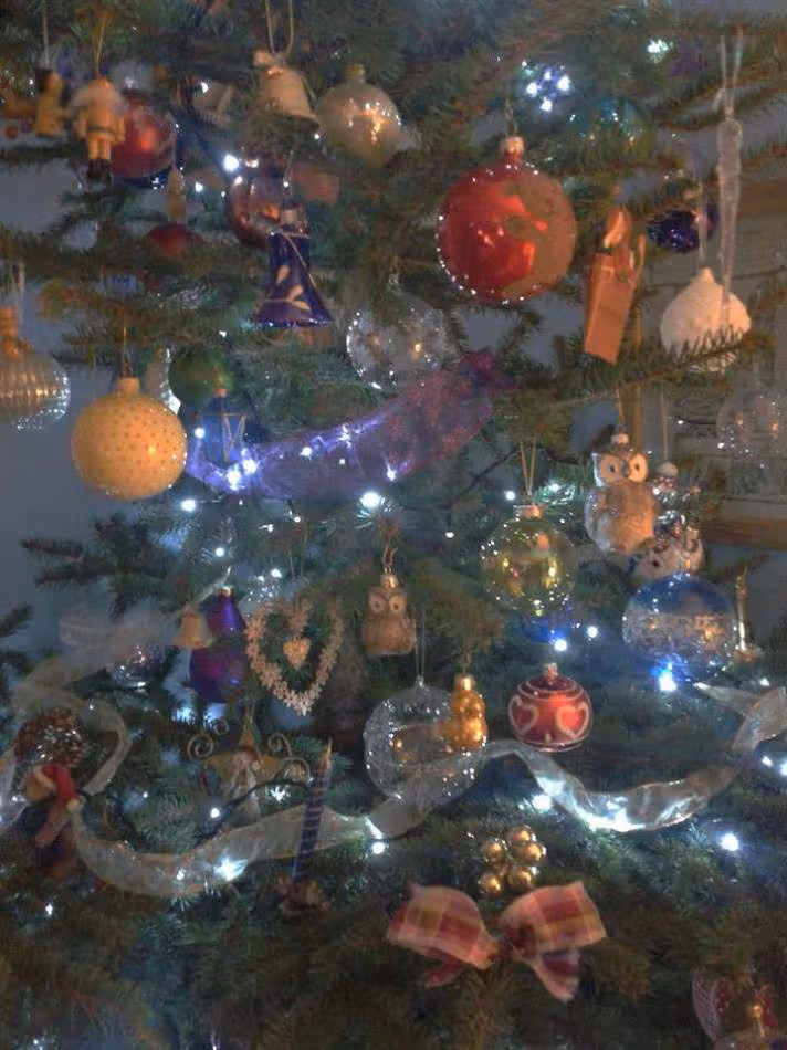 Noel 2013 3