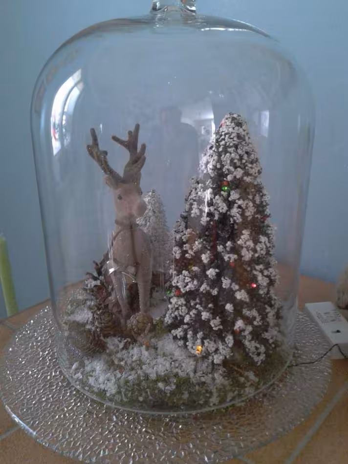 Noel 2013 7