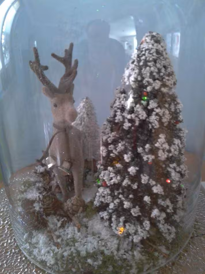 Noel 2013 8