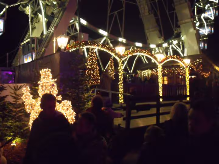 Noel2010 15