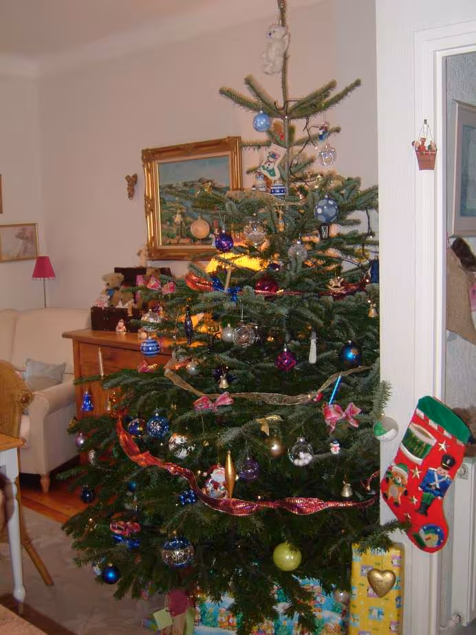 Sapin 2005
