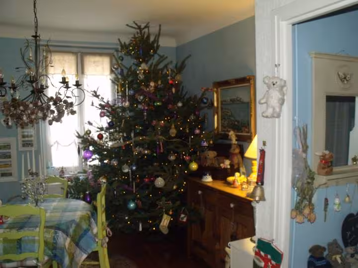 Sapin1