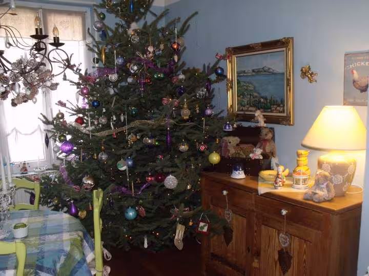 Sapin2