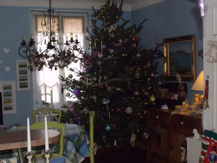 Sapin4