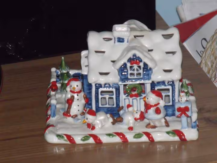 Sapin8