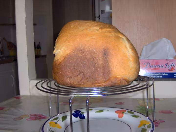 1 ere brioche reussi