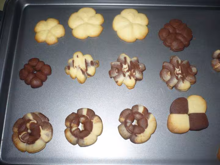 Biscuit secs