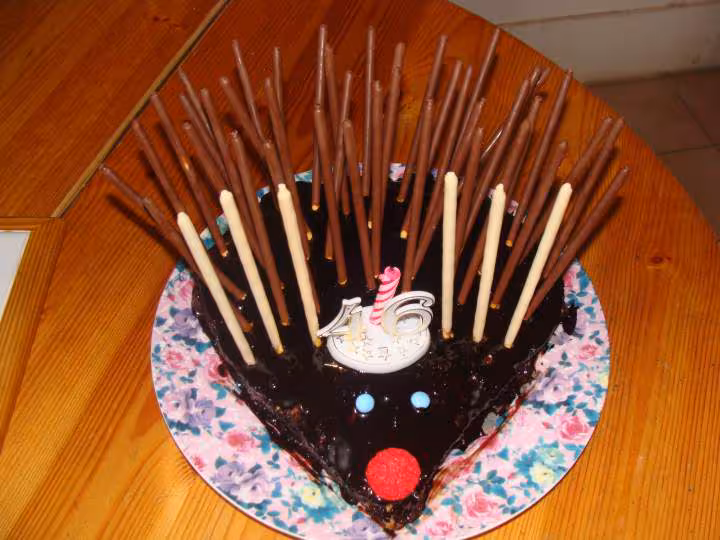 Mon gateau herisson
