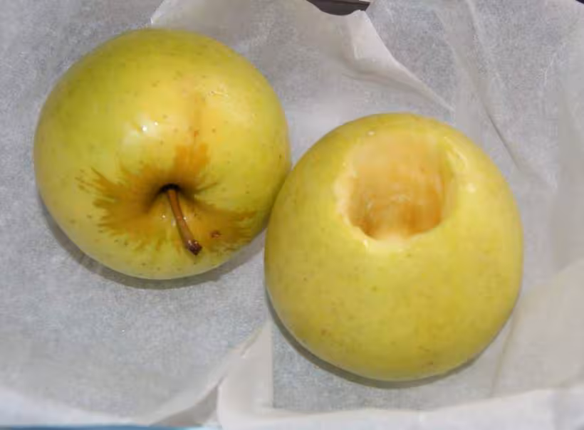 Porc pommes farcies5