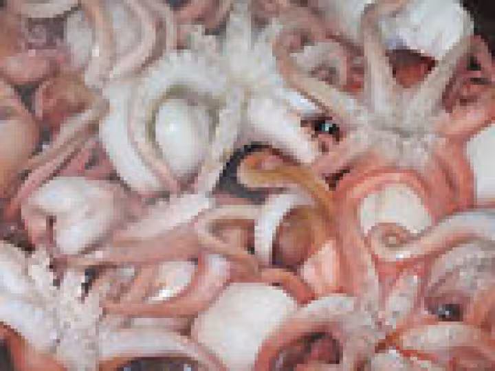 Supions