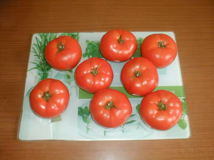 Tomates a farcir