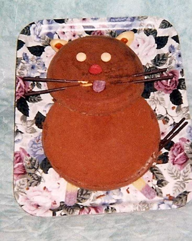 Gateau chat