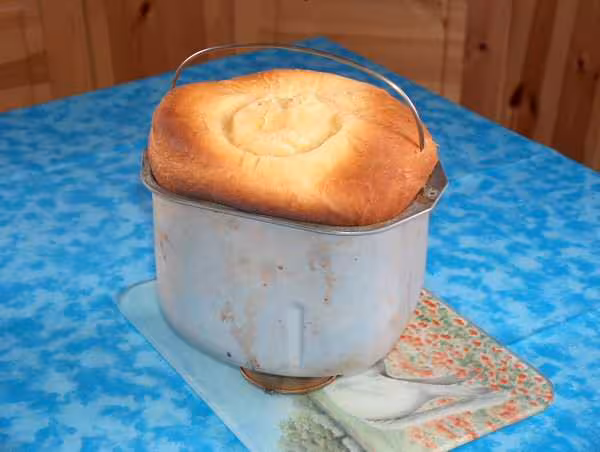 Brioche de jbus