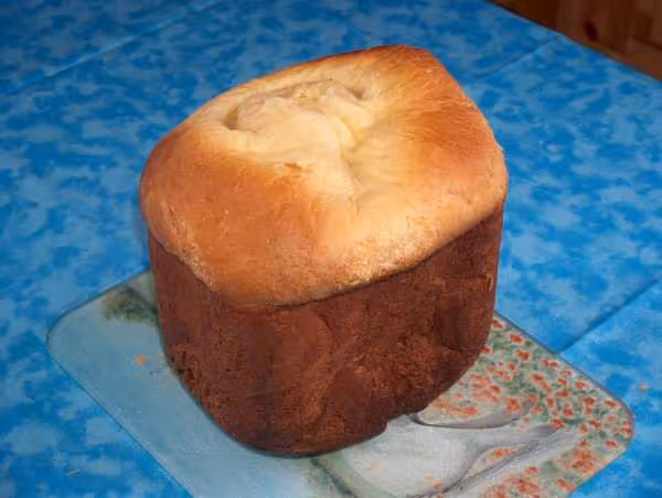 Brioche de jbus 2