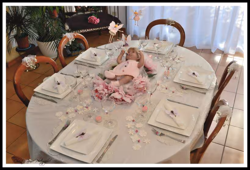 Les trois fees et la princesse