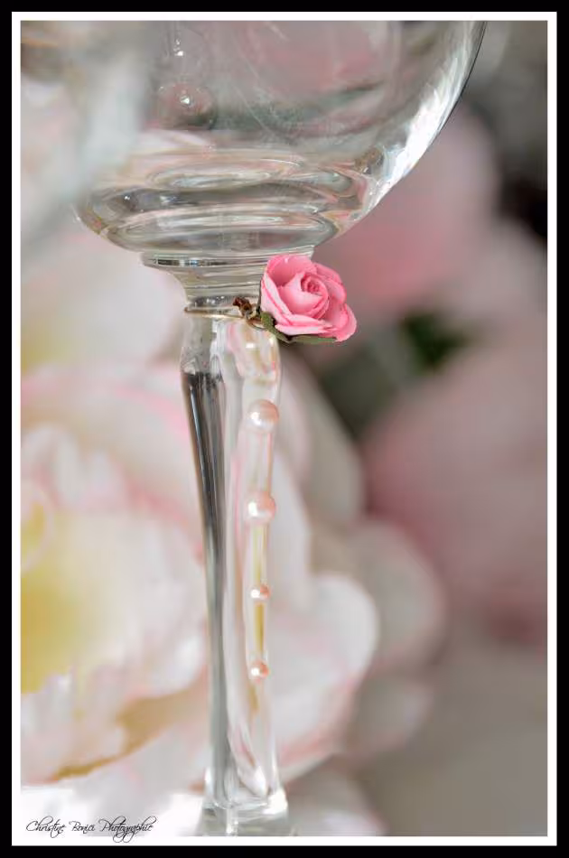 Les trois fees et la princesse
