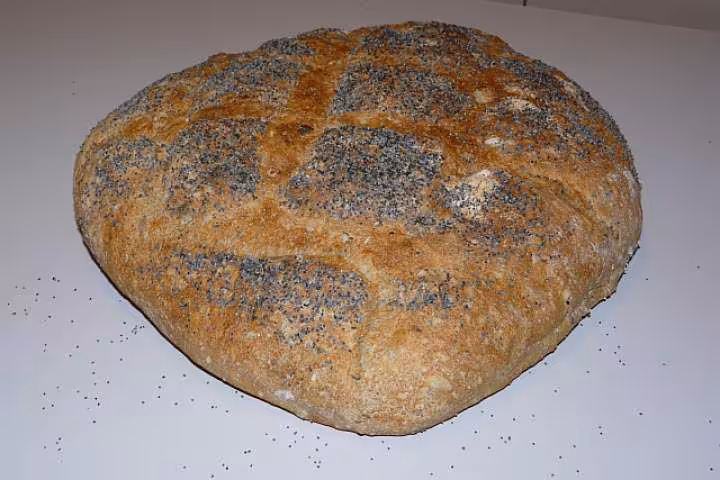 Mon premier pain au levain liquide