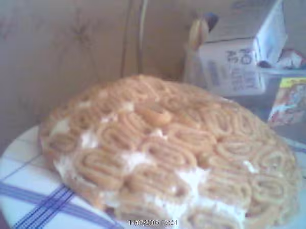 Tortue2