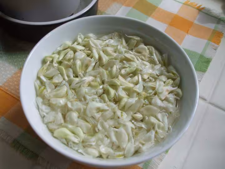 Accacia2