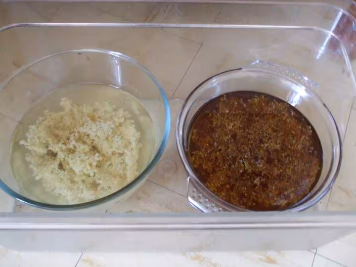 Futurs gelee et sirop