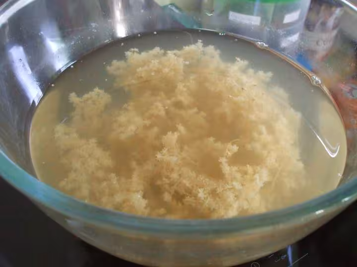 Gelee sureau1