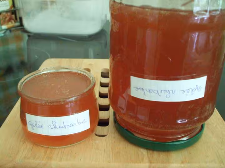 Rhubarbe gelee2